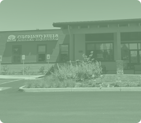 Construction Complete!